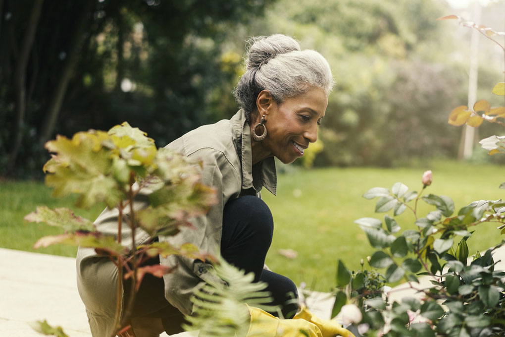  Retired woman gardening
