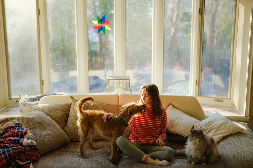 Photo of woman siting on a sofa with her dog and cat for an article about buying a house on your own.