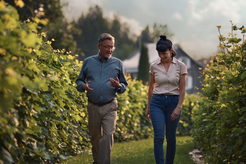 Image vignoble Two people walking in a vineyard under a cloudy sky.